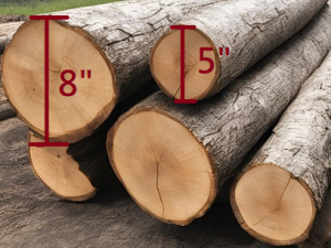RUBBERWOOD WOOD LOGS 5" - 8" 1.3M